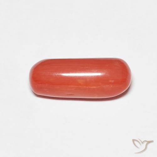 2.25ct 天然 オレンジレッド サンゴ, 楕円形, オペーク