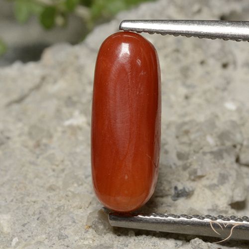 2.13ct 天然 ミディアムレッド サンゴ, 楕円形, オペーク, Photo A