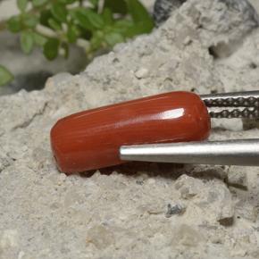 2.68カラットの天然オレンジレッドサンゴ、オーバルカット、オペーク