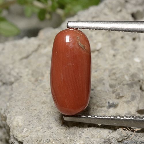 2.05ct 天然 ミディアムオレンジ サンゴ, 楕円形, オペーク