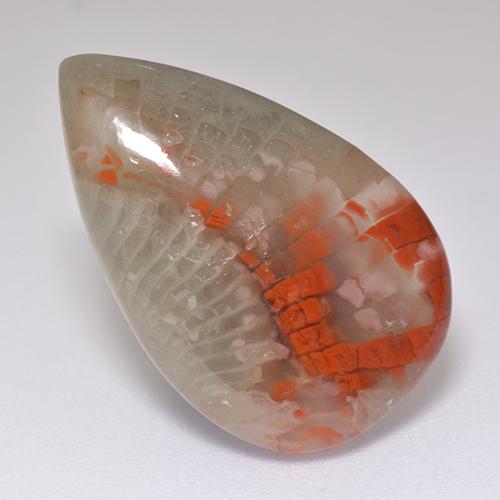 8.29カラットの天然マルチカラーサンゴ（21.3×13.7 mm・洋梨の形）