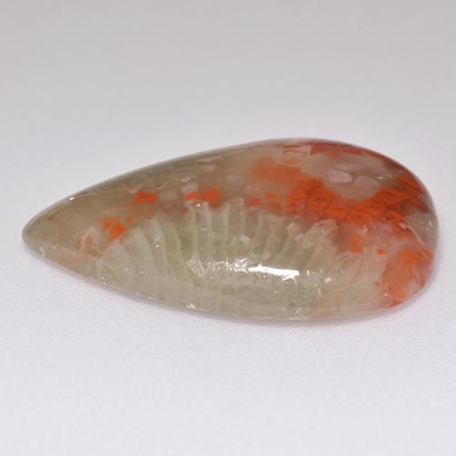 8.29カラットの天然マルチカラーサンゴ（21.3×13.7 mm・洋梨の形）