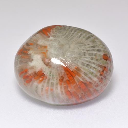 13.38カラットの天然マルチカラーサンゴ（16.7×13.6 mm・オーバルカット）