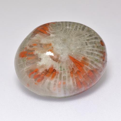 13.38カラットの天然マルチカラーサンゴ（16.7×13.6 mm・オーバルカット）