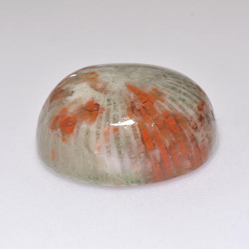 13.38カラットの天然マルチカラーサンゴ（16.7×13.6 mm・オーバルカット）