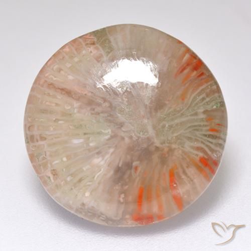 8.32ct 天然 マルチカラー サンゴ, ラウンド, 半透明