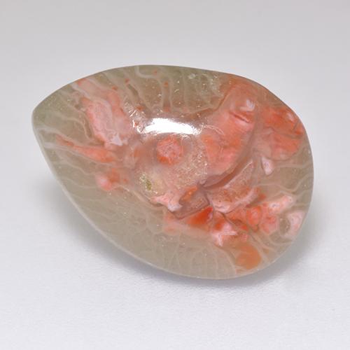 5.97カラットの天然マルチカラーサンゴ（16.5×11.8 mm・洋梨の形）