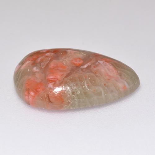 5.97カラットの天然マルチカラーサンゴ（16.5×11.8 mm・洋梨の形）