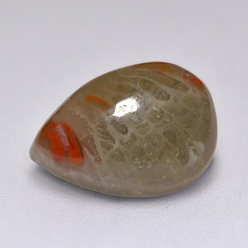 2.23カラットの天然マルチカラーサンゴ（10.4×7.3 mm・洋梨の形）