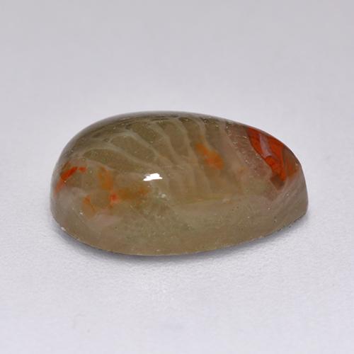 2.23カラットの天然マルチカラーサンゴ（10.4×7.3 mm・洋梨の形）