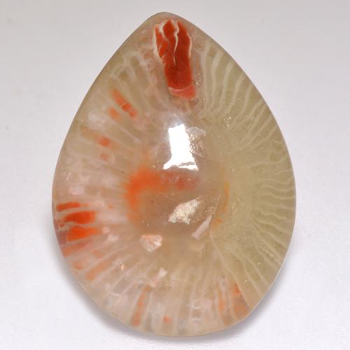 9.83カラットの天然マルチカラーサンゴ（20.3×15.1 mm・洋梨の形）