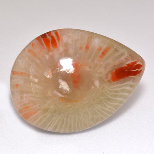 9.83カラットの天然マルチカラーサンゴ（20.3×15.1 mm・洋梨の形）