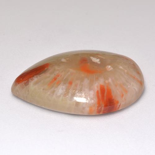 9.83カラットの天然マルチカラーサンゴ（20.3×15.1 mm・洋梨の形）