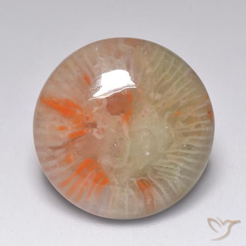 7.51ct 天然 マルチカラー サンゴ, ラウンド, 半透明