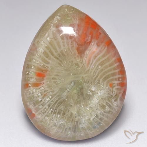 9.84カラットの天然マルチカラーサンゴ（19.6×15 mm・洋梨の形）