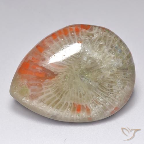 9.84カラットの天然マルチカラーサンゴ（19.6×15 mm・洋梨の形）