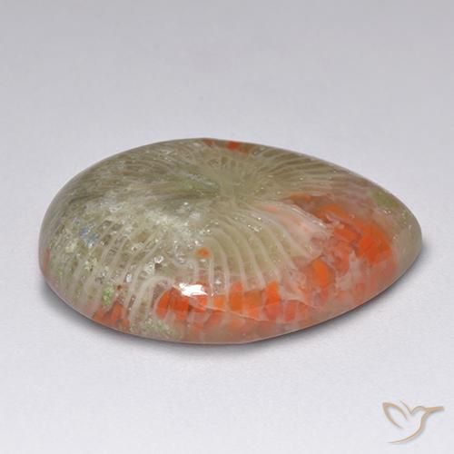 9.84カラットの天然マルチカラーサンゴ（19.6×15 mm・洋梨の形）