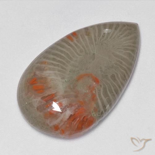15.23ct 天然 マルチカラー サンゴ, 洋梨の形, 半透明