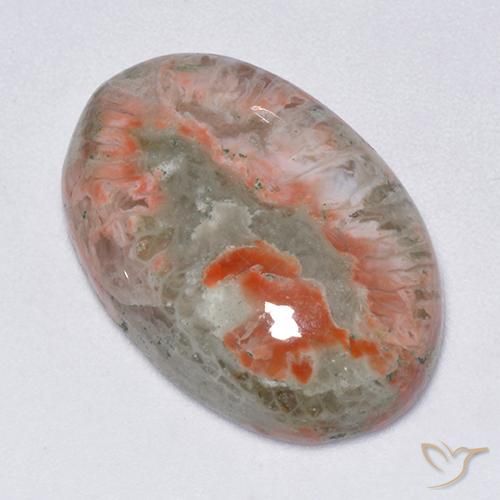 13.71ct 天然 マルチカラー サンゴ, 楕円形, 半透明