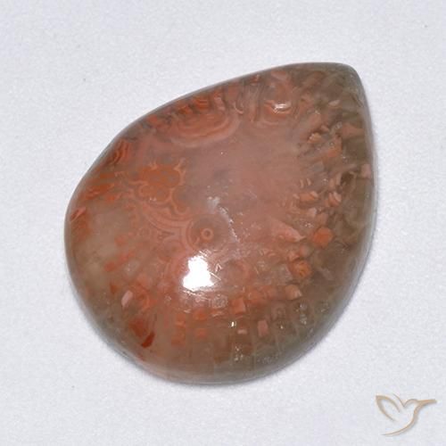 9.51ct 天然 マルチカラー サンゴ, 洋梨の形, 半透明