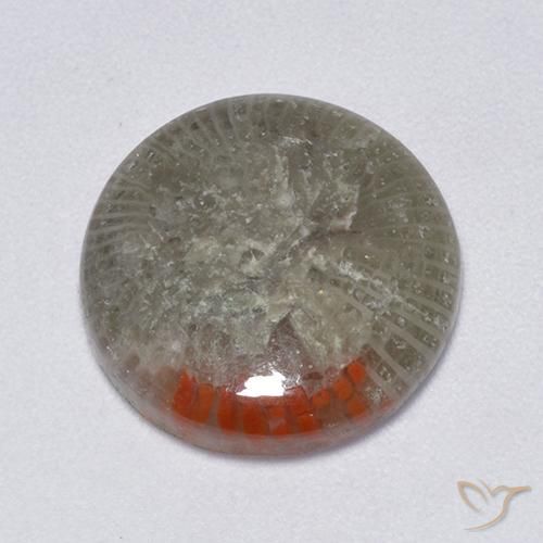 6.25ct 天然 マルチカラー サンゴ, ラウンド, 半透明