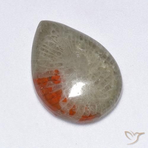 10.40ct 天然 マルチカラー サンゴ, 洋梨の形, 半透明