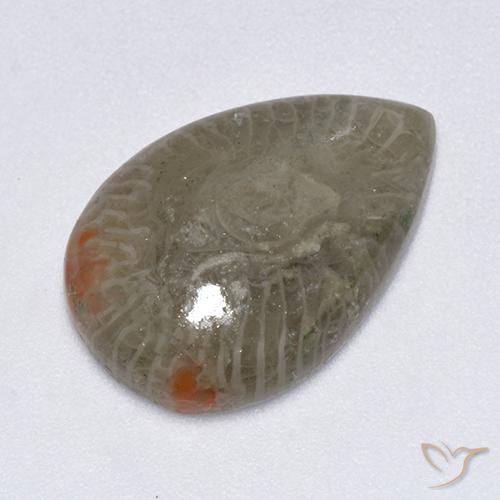5.79ct 天然 マルチカラー サンゴ, 洋梨の形, 半透明