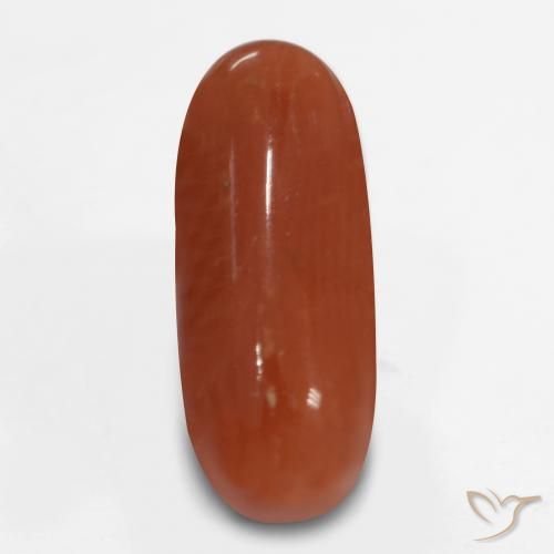 2.47ct 天然 ファイアレッド サンゴ, 楕円形, オペーク