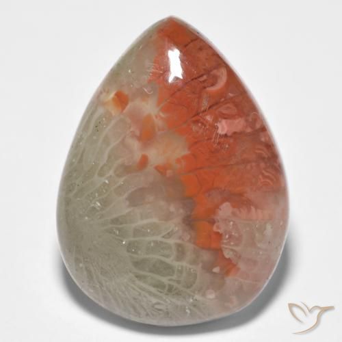 10.86ct 天然 マルチカラー サンゴ, 洋梨の形, 半透明