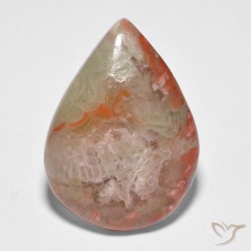 11.65ct 天然 マルチカラー サンゴ, 洋梨の形, 半透明