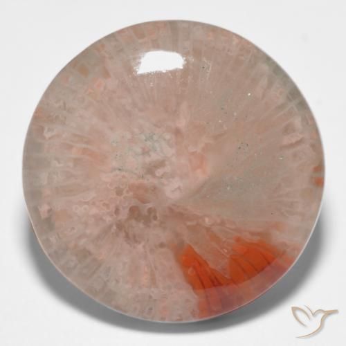 11.09ct 天然 マルチカラー サンゴ, ラウンド, 半透明, Photo A