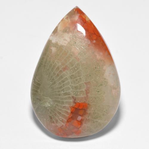 15.90カラットの天然マルチカラーサンゴ（25.1×17.2 mm・洋梨の形）
