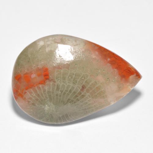 15.90カラットの天然マルチカラーサンゴ（25.1×17.2 mm・洋梨の形）