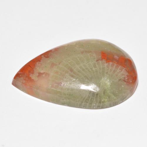 15.90カラットの天然マルチカラーサンゴ（25.1×17.2 mm・洋梨の形）