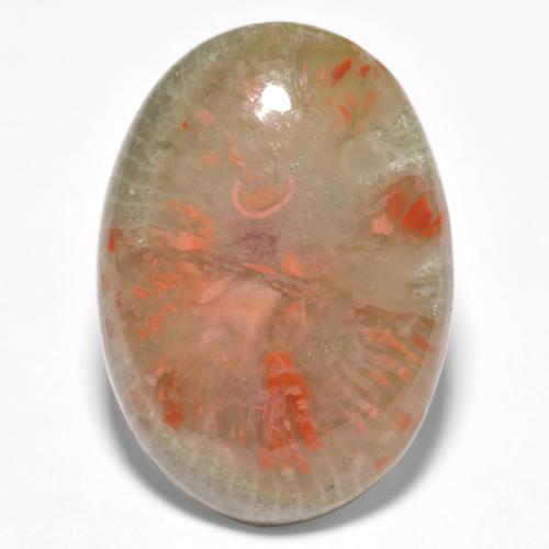 10.04カラットの天然マルチカラーサンゴ（19.7×14 mm・オーバルカット）