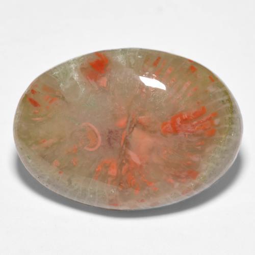 10.04カラットの天然マルチカラーサンゴ（19.7×14 mm・オーバルカット）