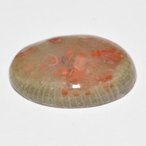 10.04カラットの天然マルチカラーサンゴ（19.7×14 mm・オーバルカット）