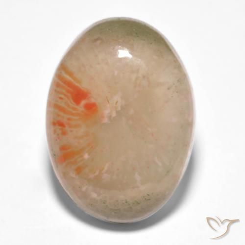 10.34ct 天然 マルチカラー サンゴ, 楕円形, 半透明