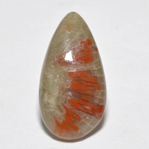 4.62カラットの天然マルチカラーサンゴ（18×9.5 mm・洋梨の形）