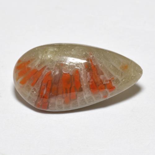 4.62カラットの天然マルチカラーサンゴ（18×9.5 mm・洋梨の形）