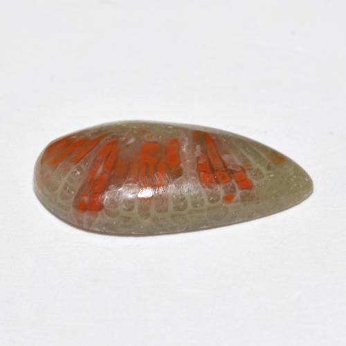 4.62カラットの天然マルチカラーサンゴ（18×9.5 mm・洋梨の形）