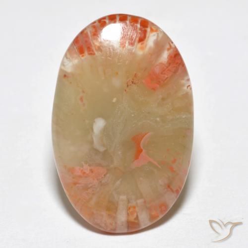 6.23ct 天然 マルチカラー サンゴ, 楕円形, 半透明