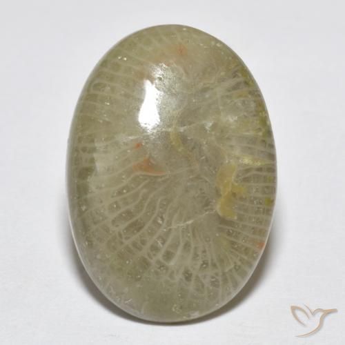 7.96ct 天然 マルチカラー サンゴ, 楕円形, オペーク, Photo A