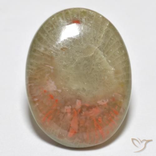 10.63ct 天然 マルチカラー サンゴ, 楕円形, 半透明, Photo A