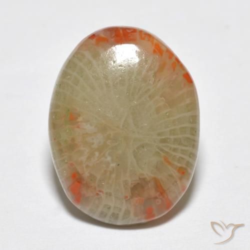 5.78ct 天然 マルチカラー サンゴ, 楕円形, 半透明