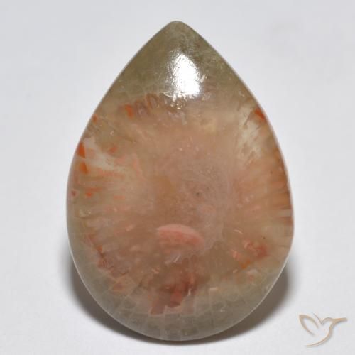 6.81ct 天然 マルチカラー サンゴ, 洋梨の形, 半透明