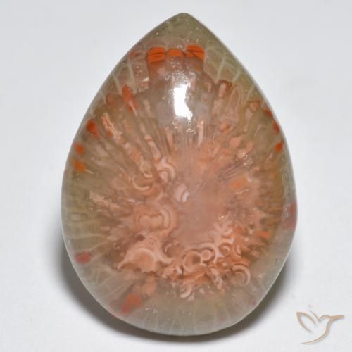 11.49ct 天然 マルチカラー サンゴ, 洋梨の形, オペーク