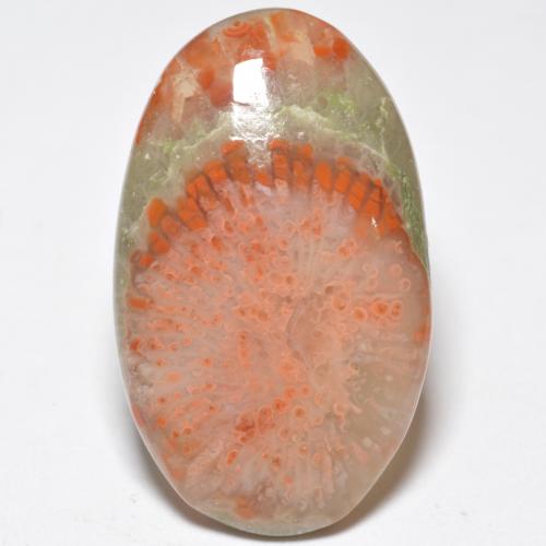 11.38カラットの天然マルチカラーサンゴ（24.1×14.6 mm・オーバルカット）