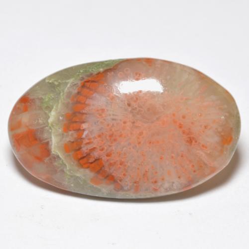 11.38カラットの天然マルチカラーサンゴ（24.1×14.6 mm・オーバルカット）