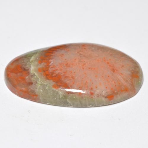 11.38カラットの天然マルチカラーサンゴ（24.1×14.6 mm・オーバルカット）